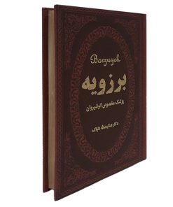 Alternative view of برزویه