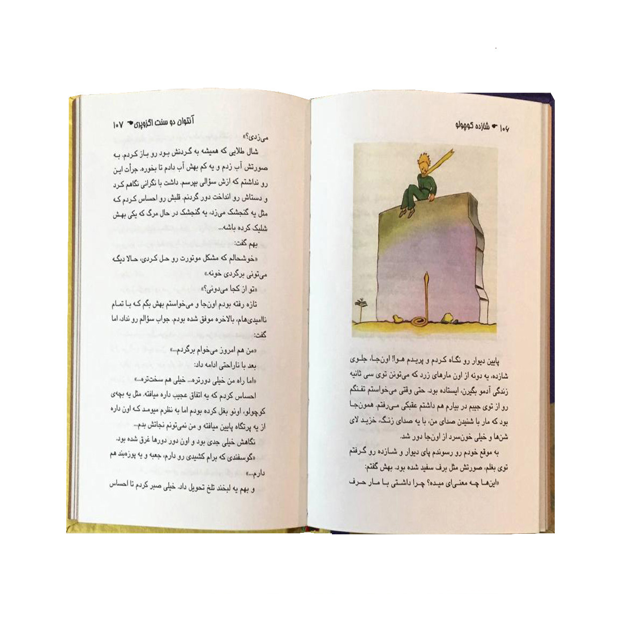 شازده داخلی